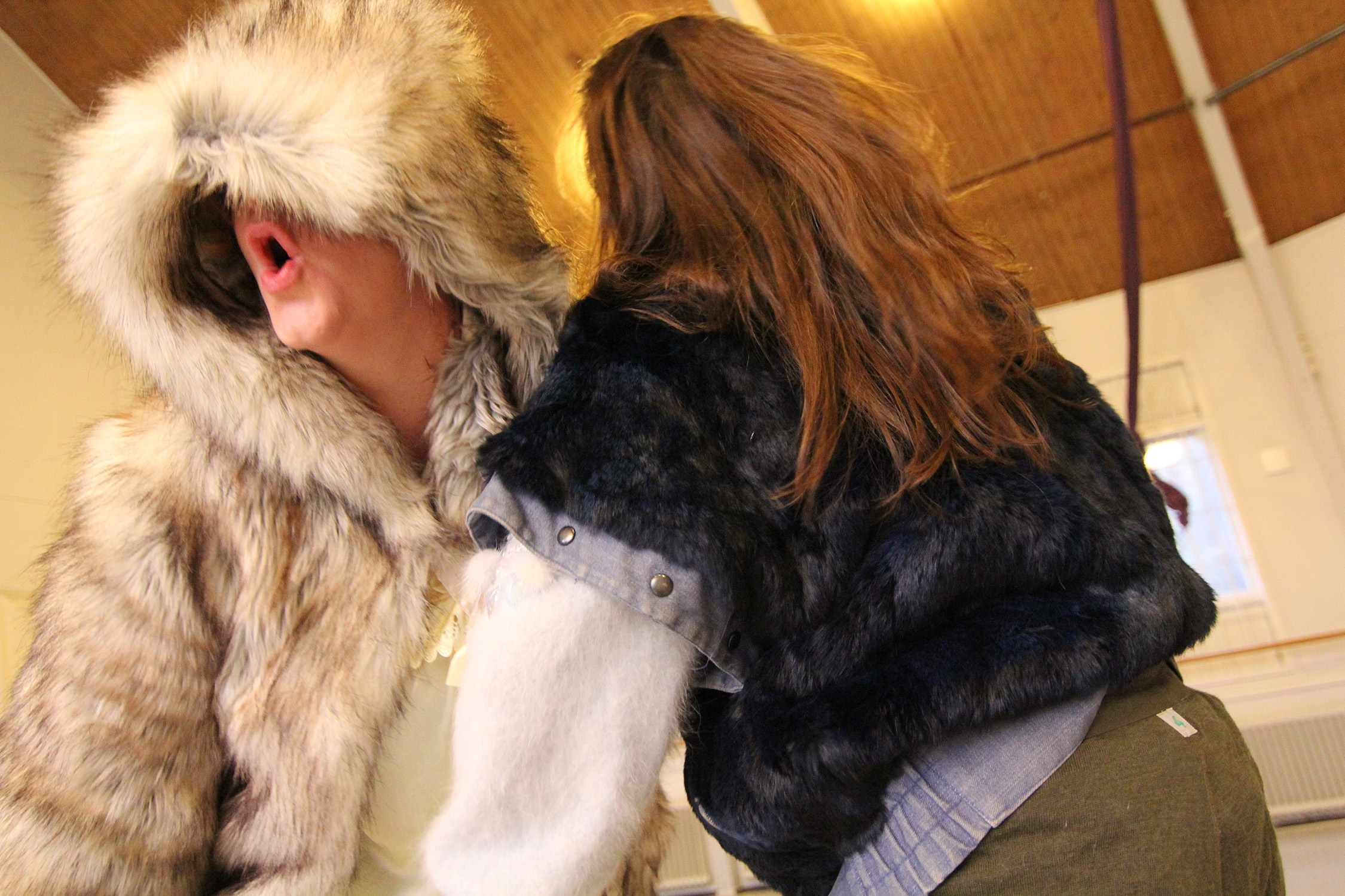 showsforshowsforshows01